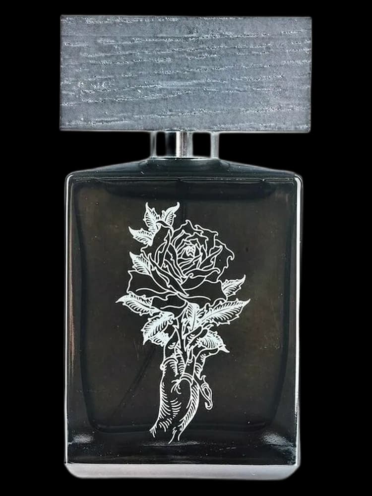Acrasia unisex