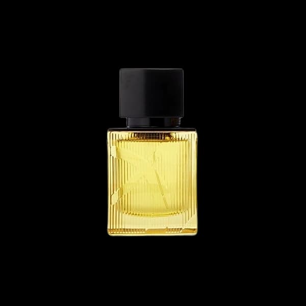 Ajmal Purely Orient Amber