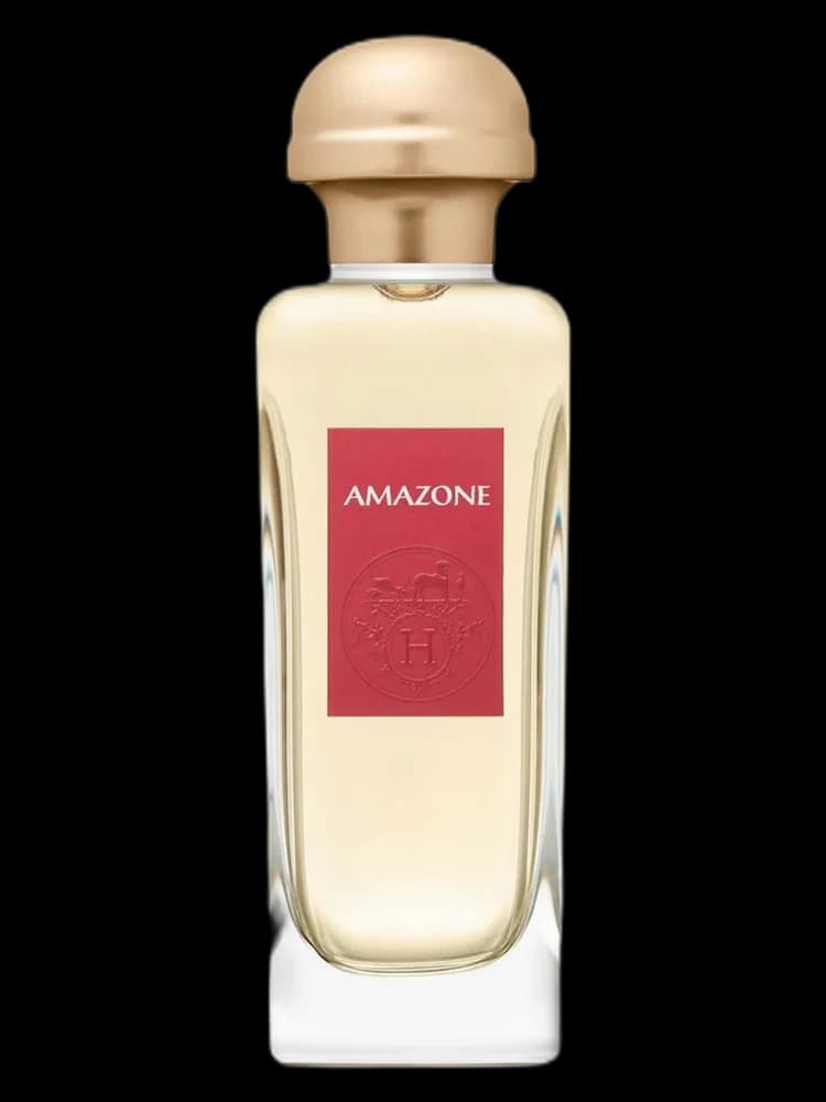 Amazone 2017 re-launch Hermes for women