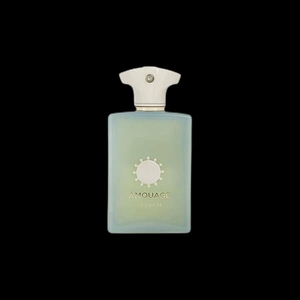 Amouage Search