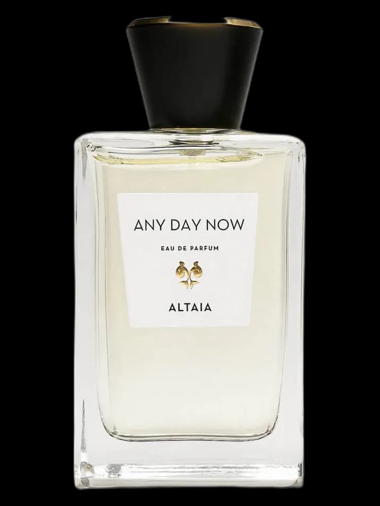 Any Day Now unisex