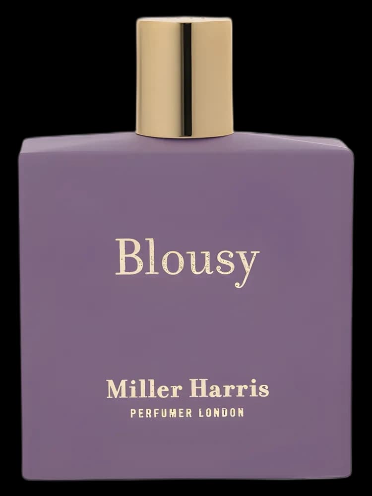 Blousy for women
