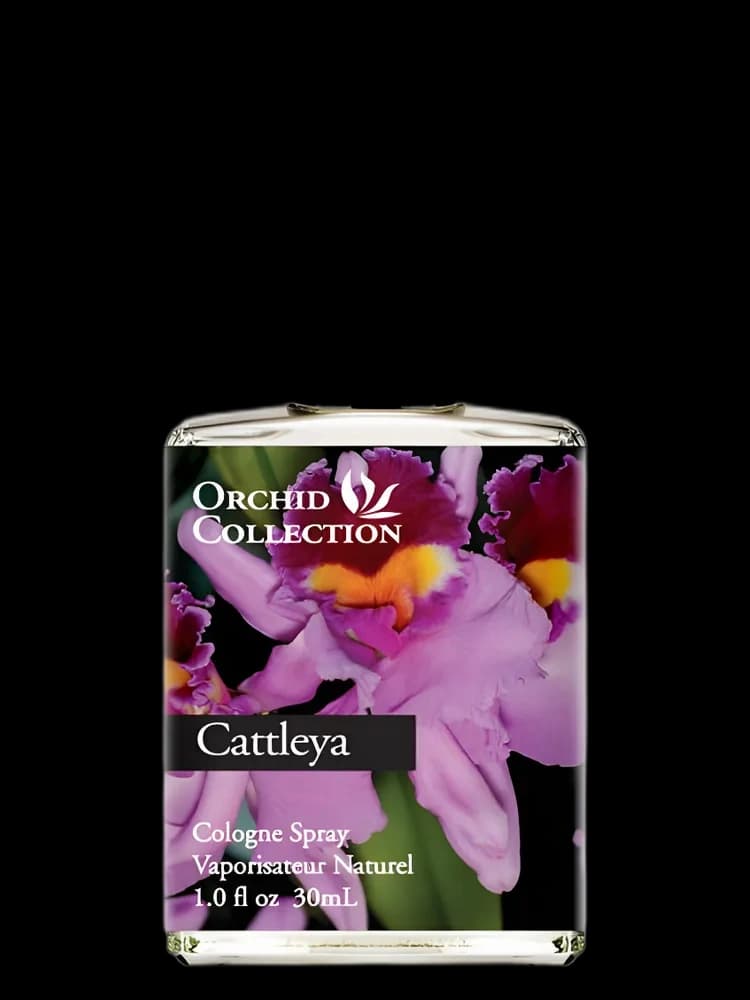 Cattleya Orchid unisex