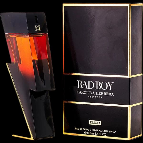 Ch Bad Boy Elixir