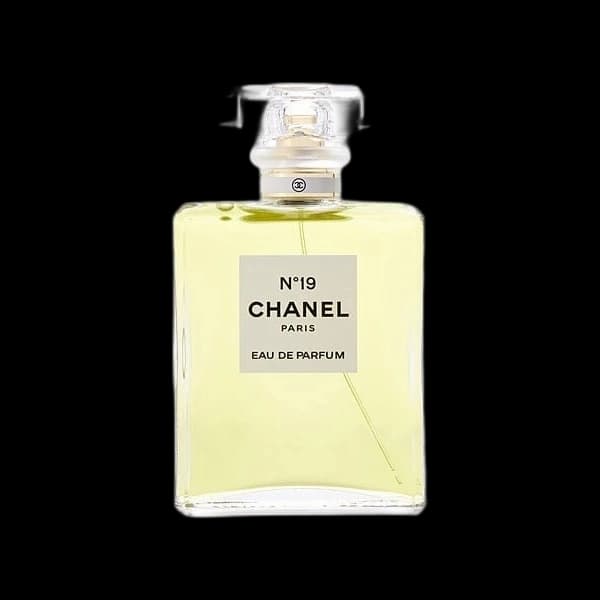 Chanel 19