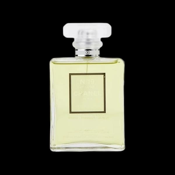 Chanel No. 19 Poudre