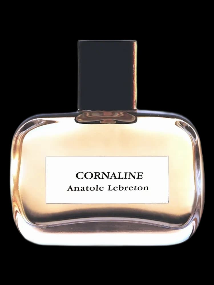 Cornaline unisex