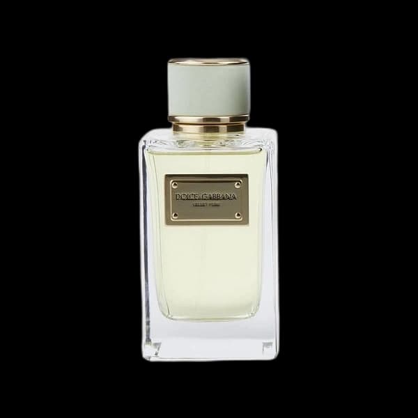 Dolce & Gabbana Velvet Pure