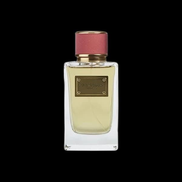 Dolce & Gabbana Velvet Rose