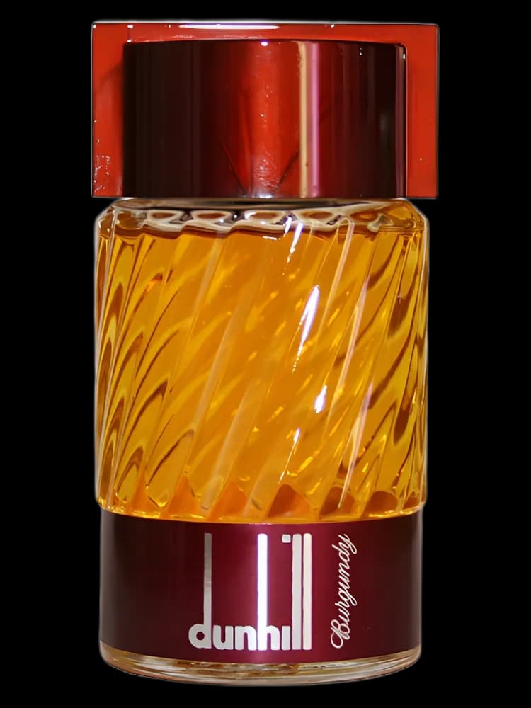 Dunhill Burgundy for men