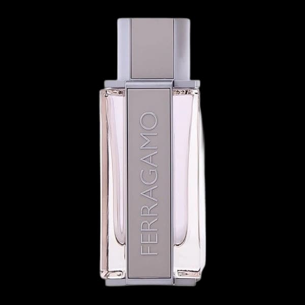 Ferragamo Bright Leather