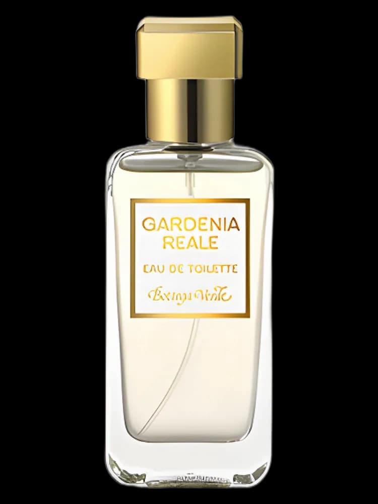 Gardenia Reale unisex