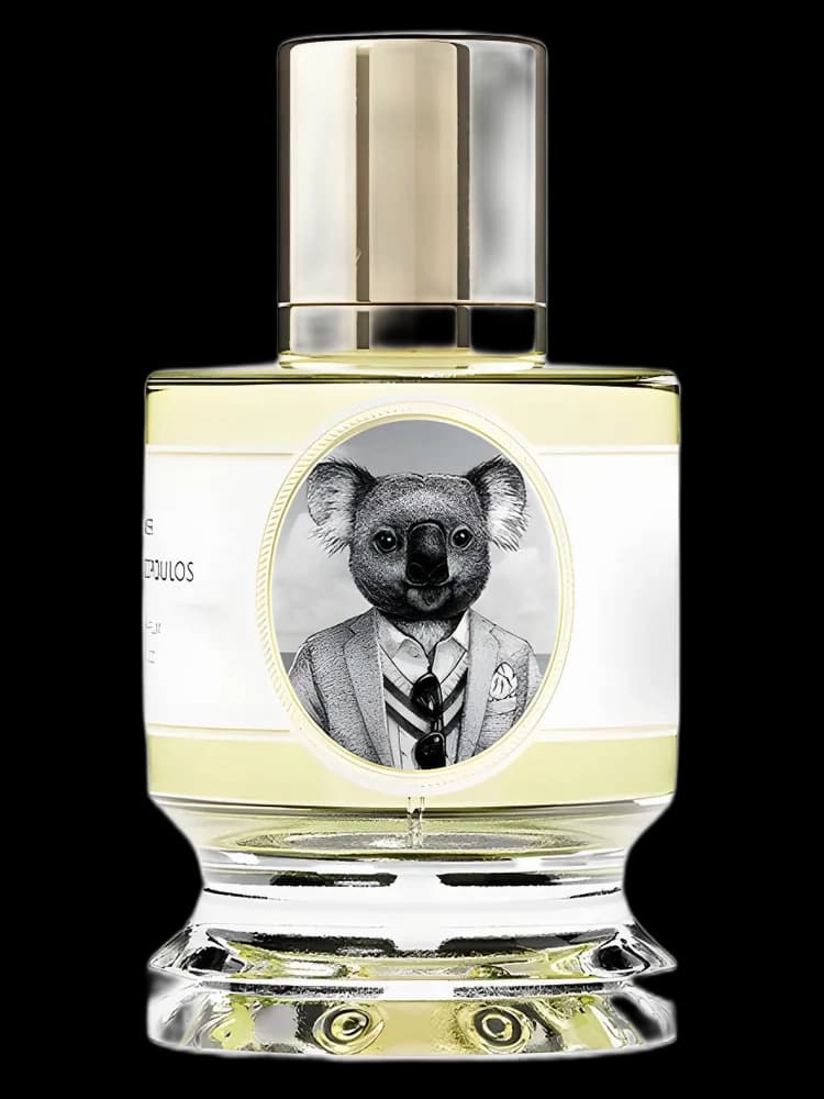 Koala unisex