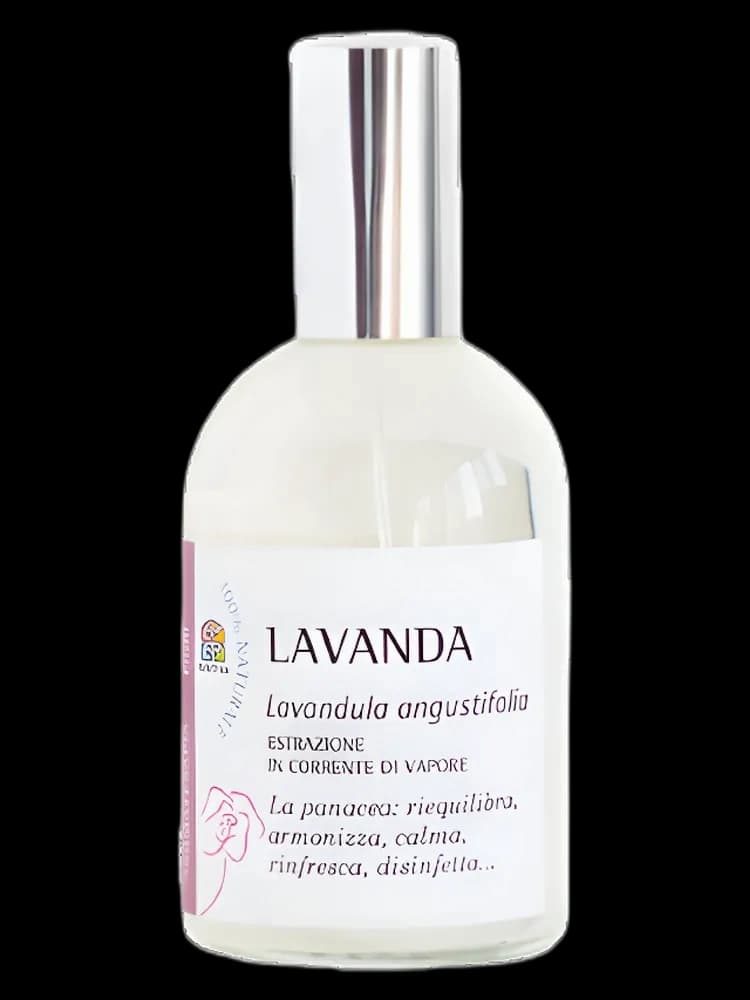 Lavanda unisex