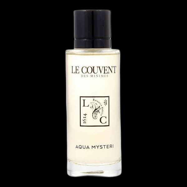 Le Couvent Des Minimes Aqua Mysteri