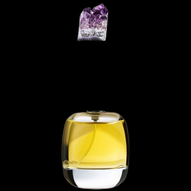 Lux Visionaria