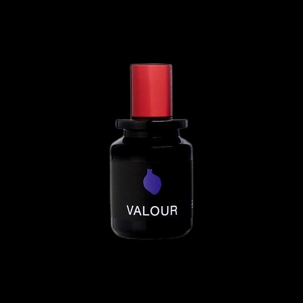Map Of The Heart V.5 Valour