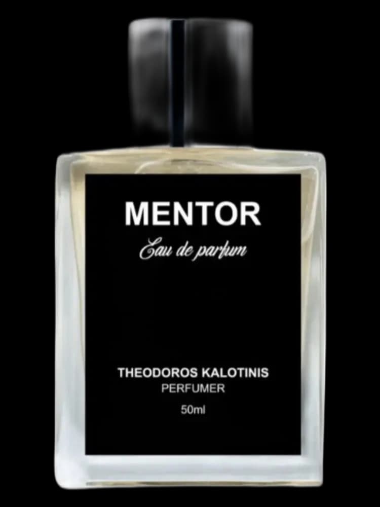 Mentor for men