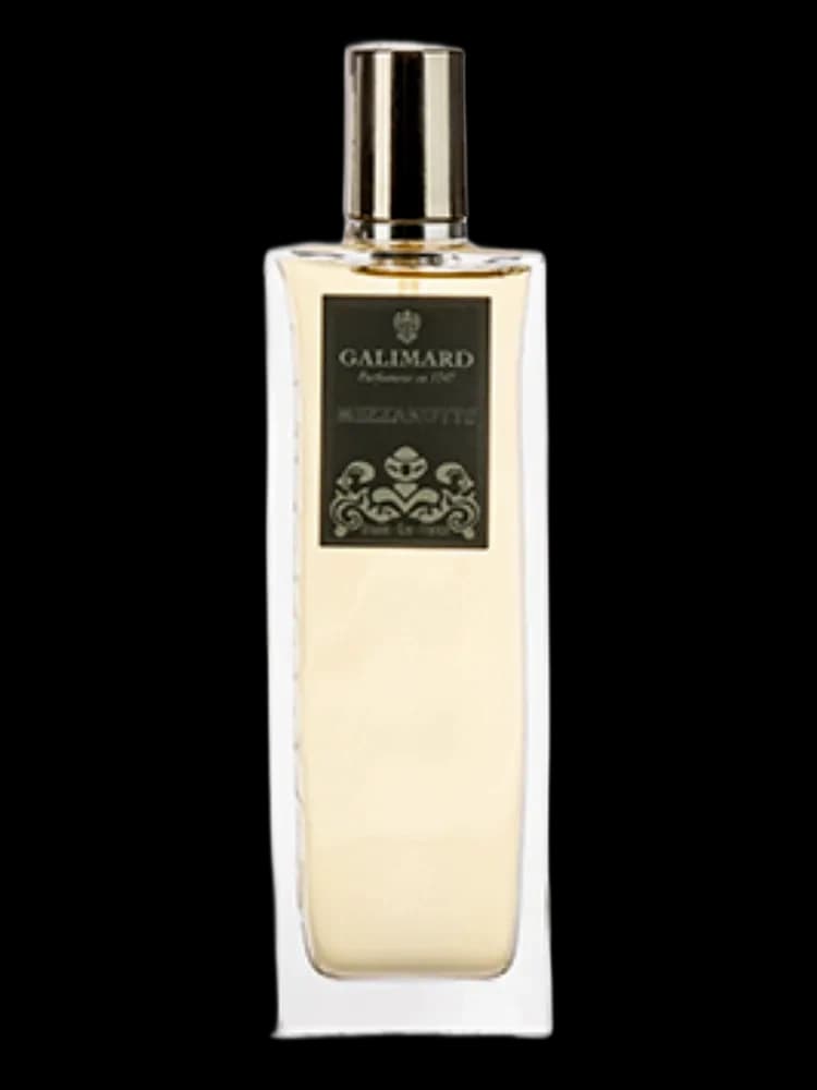 Mezzanotte for men