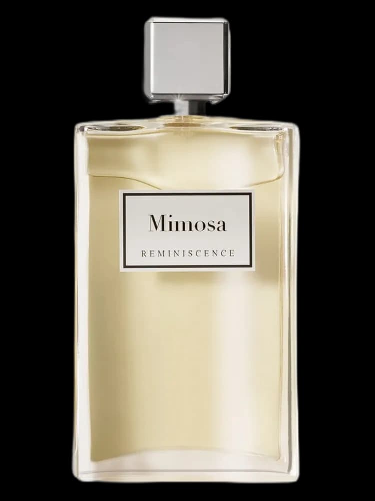 Mimosa for women