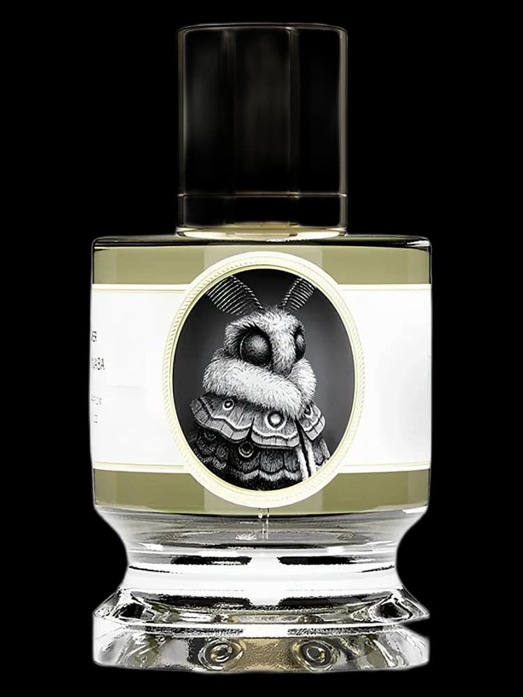 Moth unisex