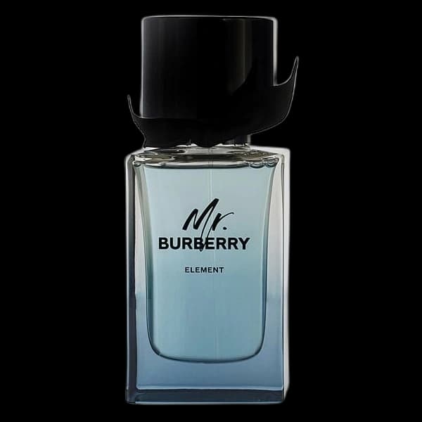 Mr Burberry Element