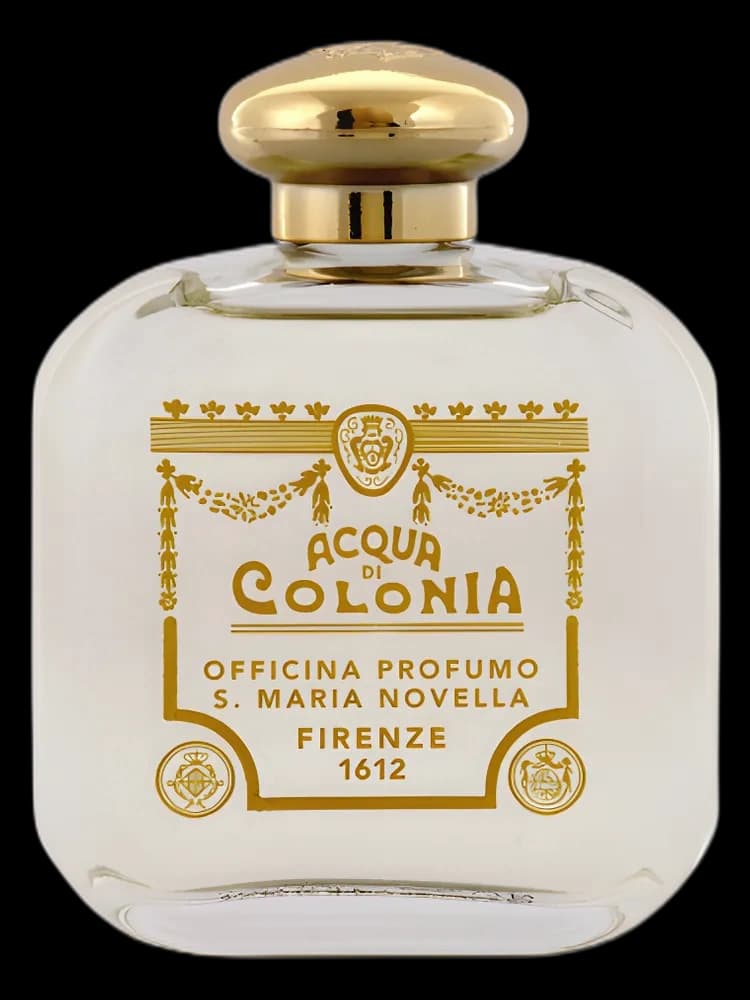Muschio Musc unisex