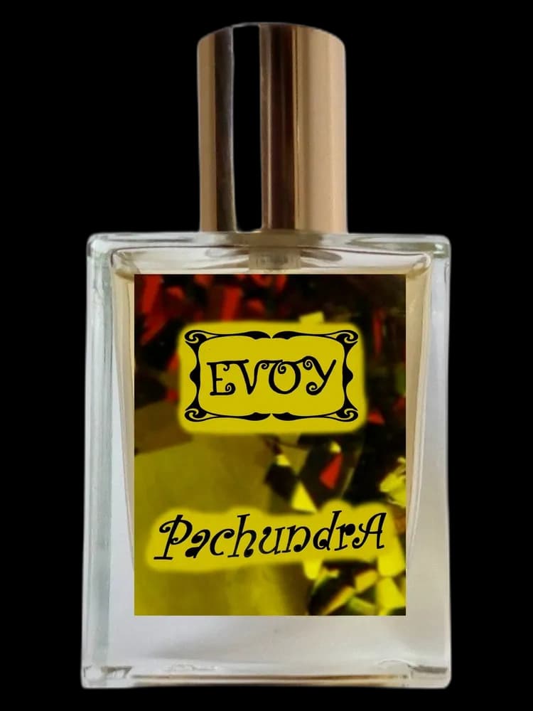 Pachundra unisex