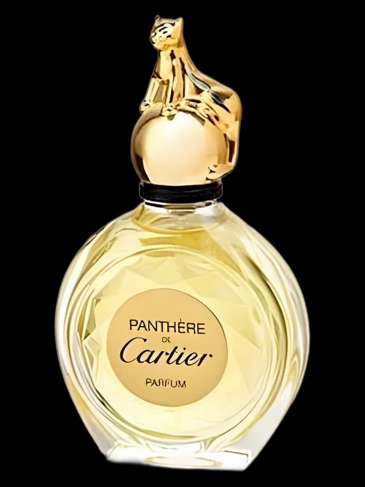 Panthere for women