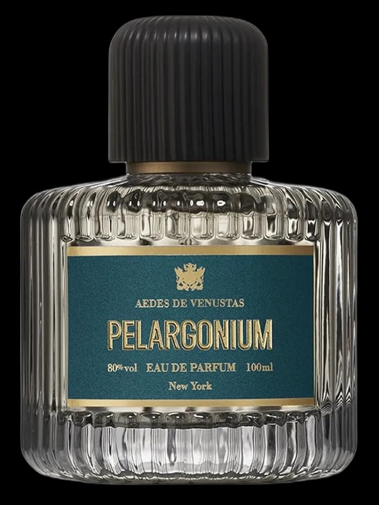Pelargonium unisex
