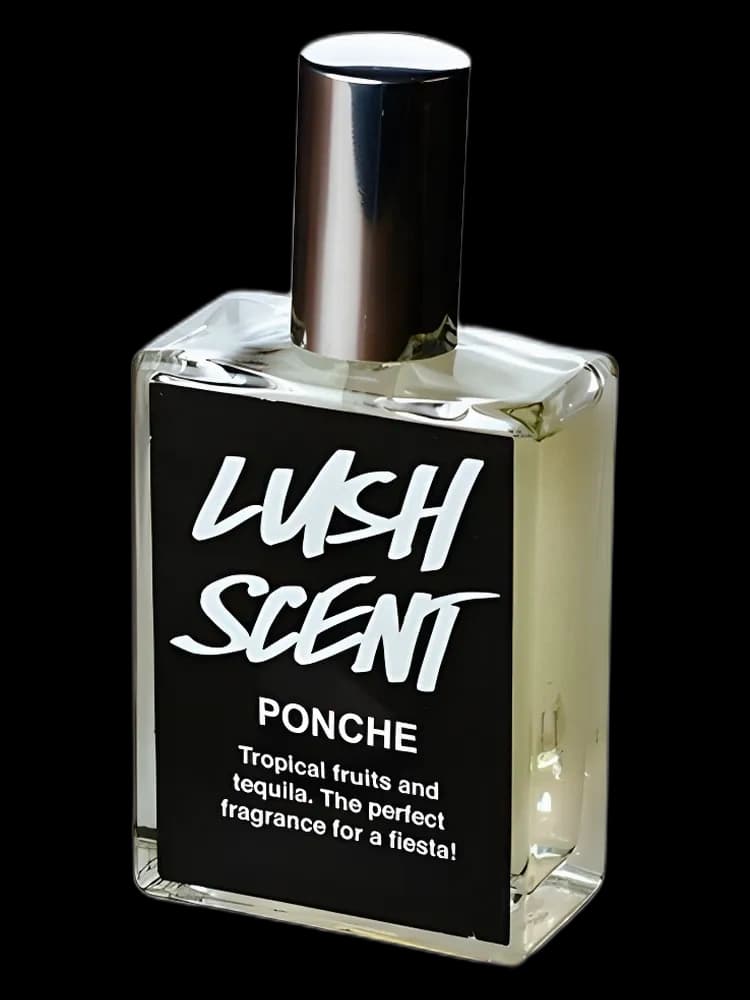 Ponche unisex