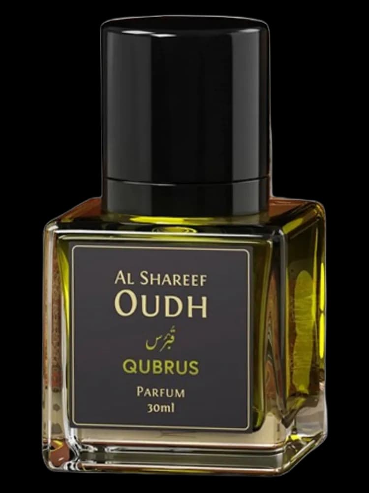 Qubrus unisex