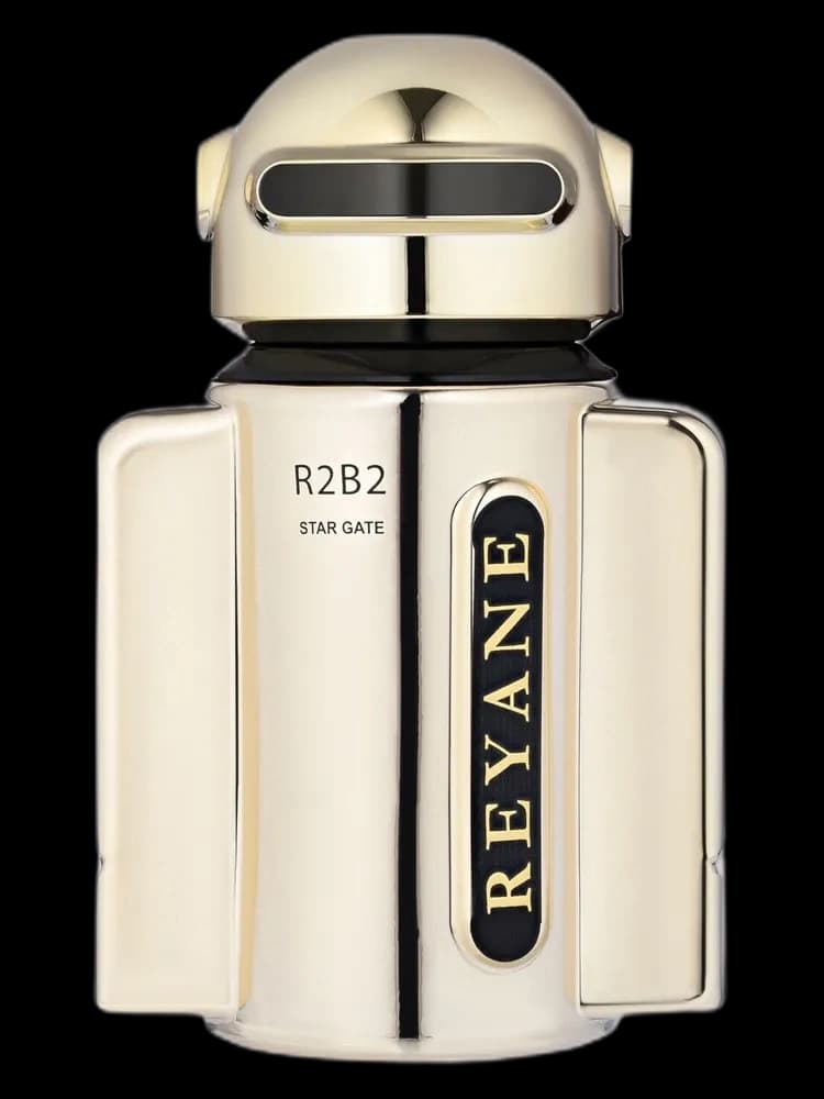 R2B2 Star Gate unisex