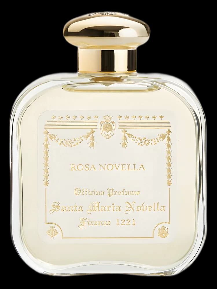 Rosa Novella unisex