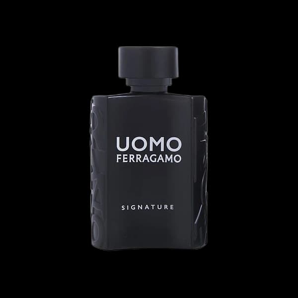 Salvatore Ferragamo Uomo Signature
