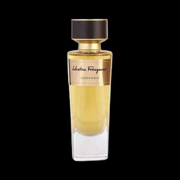 Salvatore Ferragamo Vendemmia