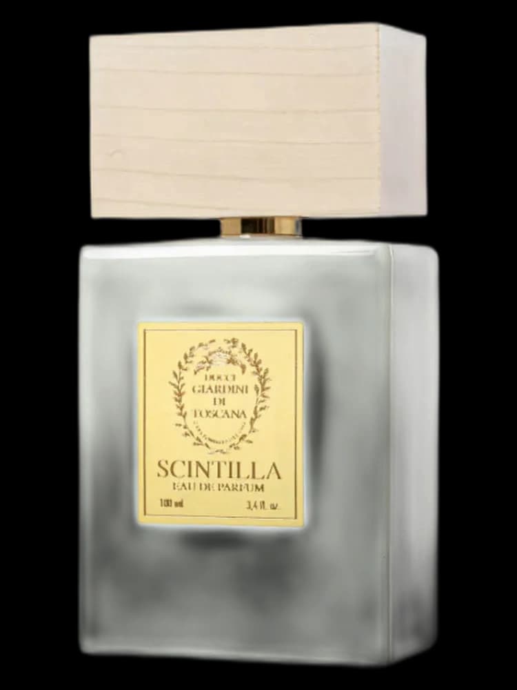Scintilla unisex