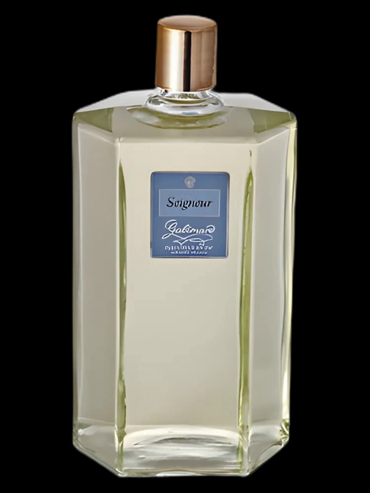 Seigneur for men
