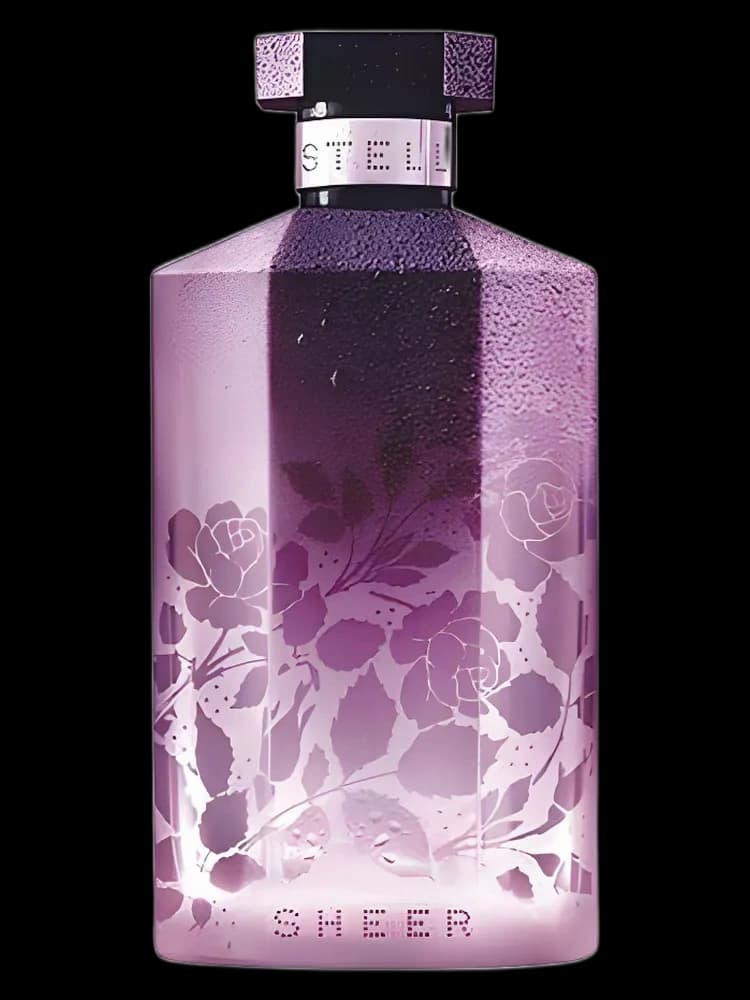 Sheer Stella for women