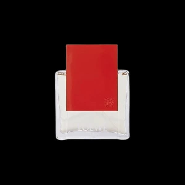 Solo Loewe Ella