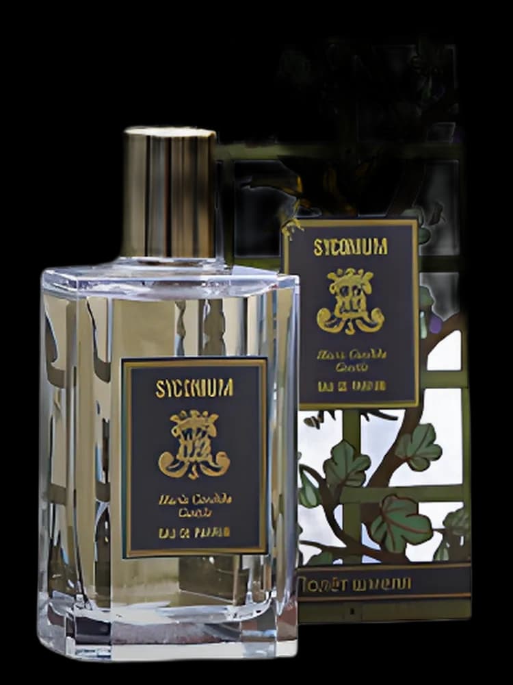 Syconium unisex