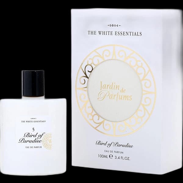 The White Essentials Bird Of Paradise