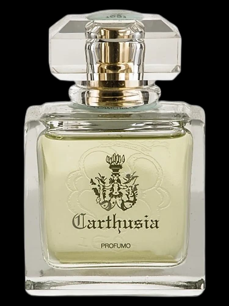 Via Camerelle Profumo for women
