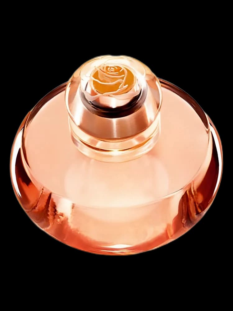 Volare for women