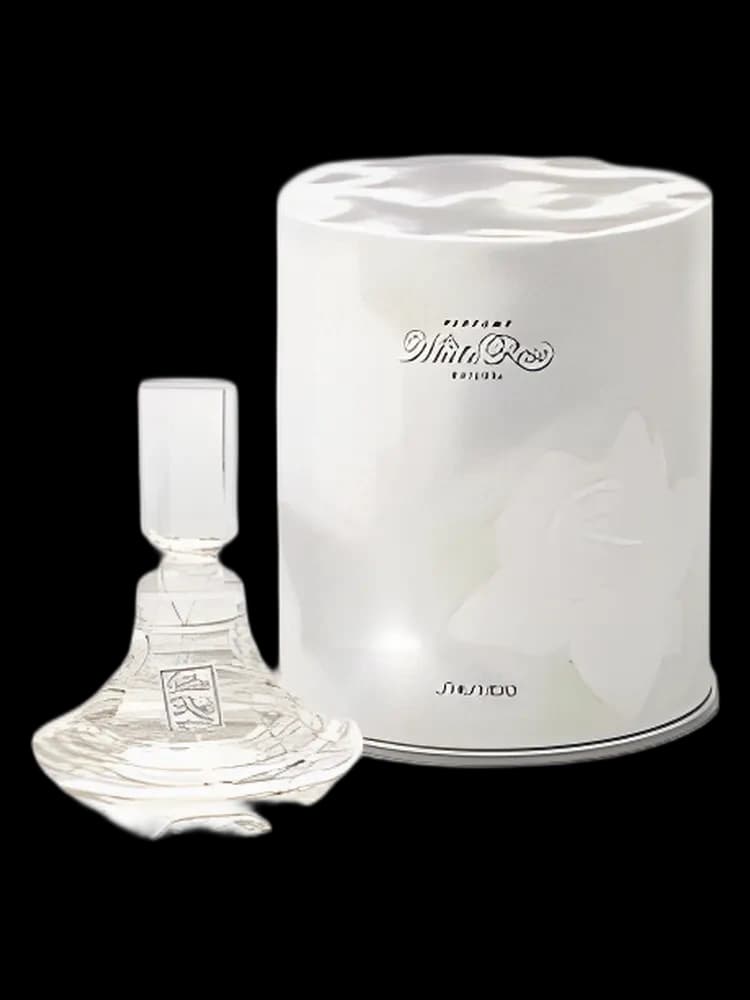 White Rose Natural for women