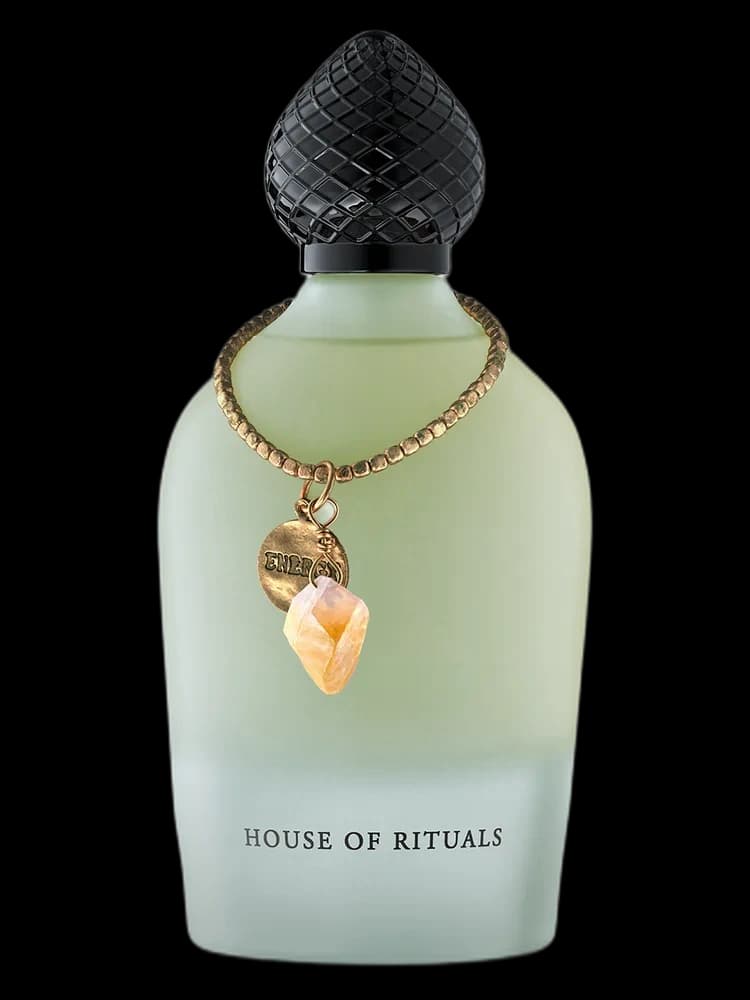Wild Vetiver unisex