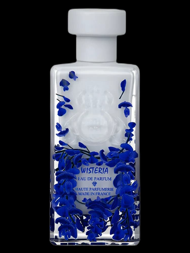 Wisteria unisex