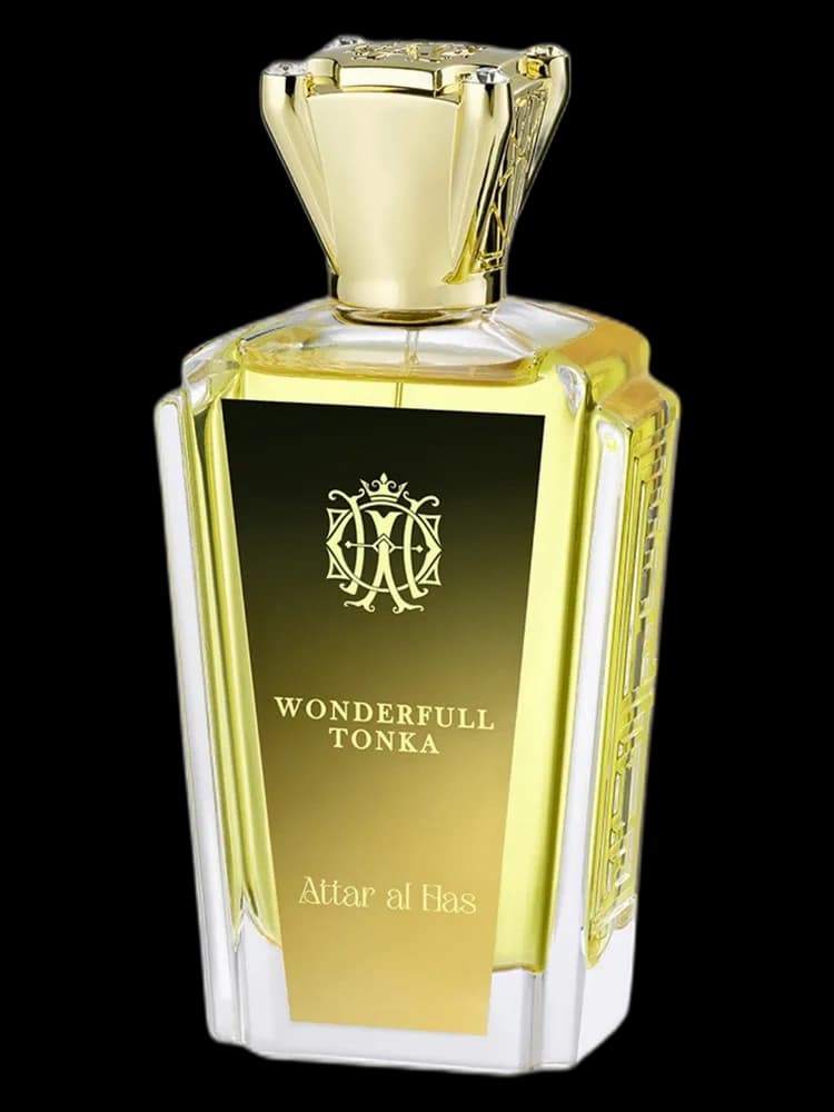 Wonderful Tonka unisex