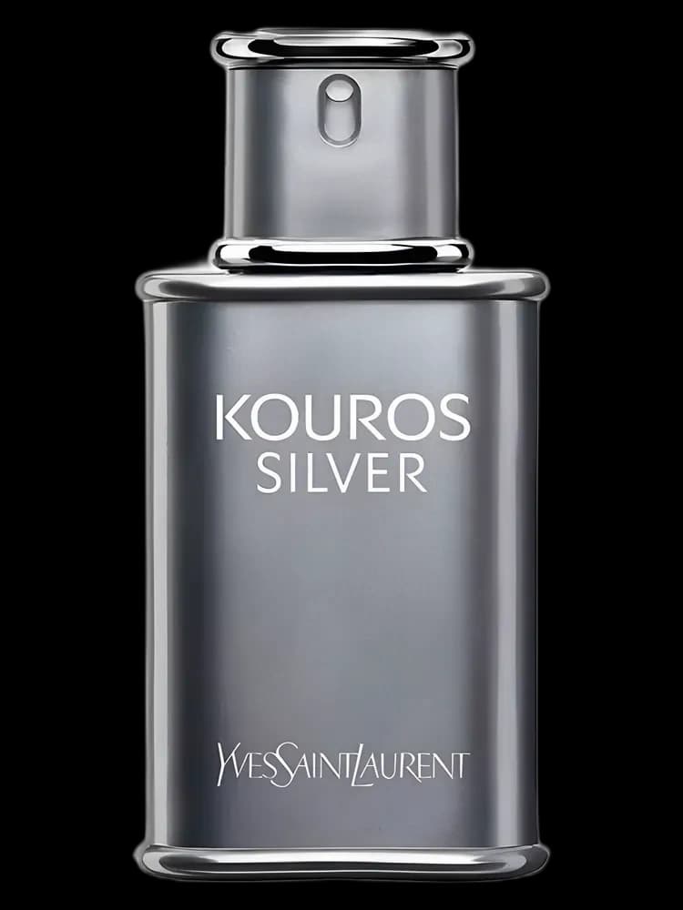 Yves Saint Laurent Kouros Silver for men