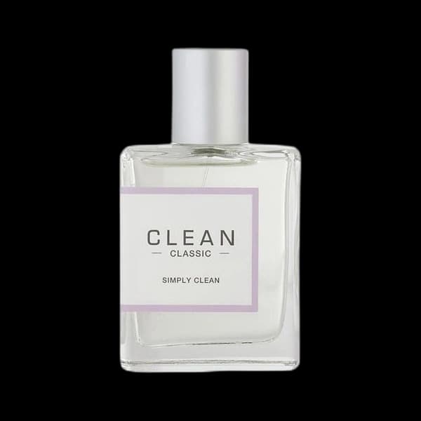 Clean Simply Clean